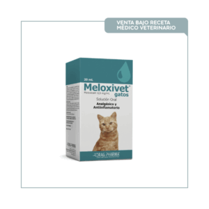 Meloxivet® Gato